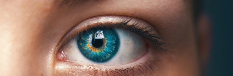 Teoria das inteligências múltiplas: o que é, por que é importante e mais!